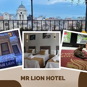 Mr Lion Kumkapi , Provincia di Istanbul Turchia